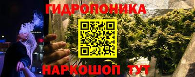 каннабис Будённовск