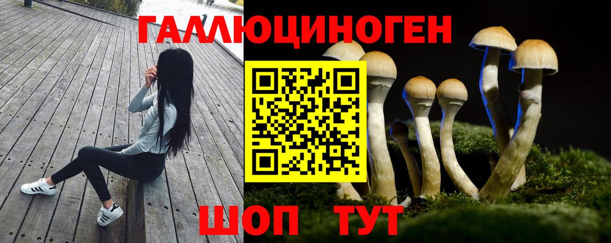 Галлюциногенные грибы мухоморы  Вход с VPN  Сальск 