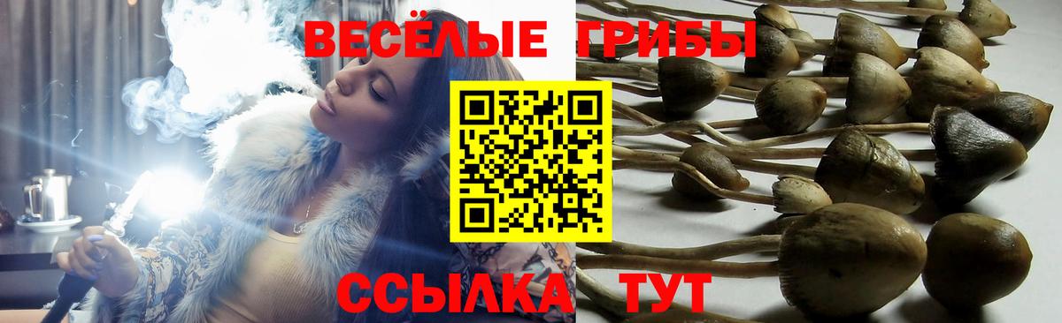 Галлюциногенные грибы мицелий Сальск